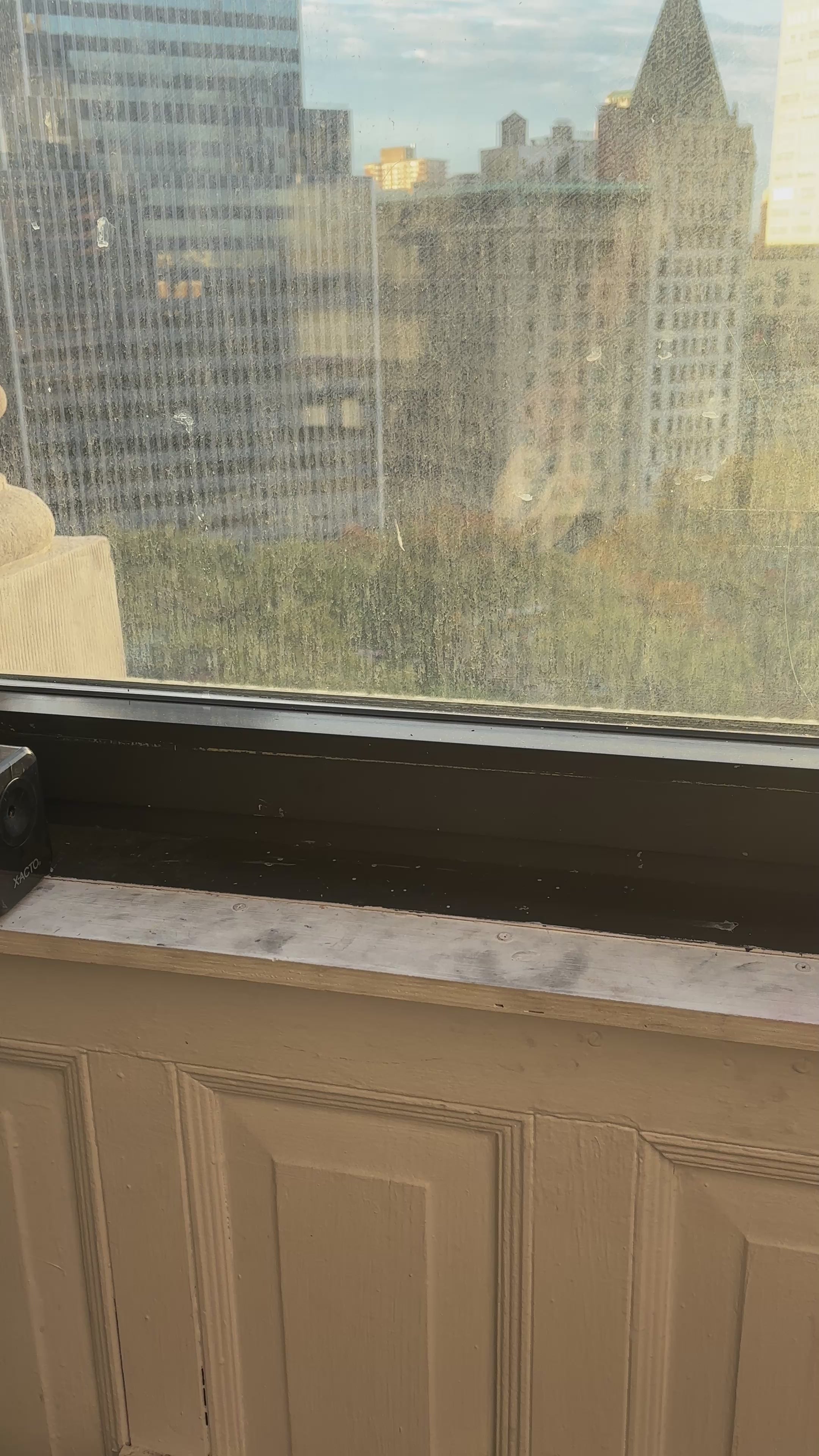 Mujiitachi "Pokemon" Belt